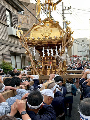 〈No.23048〉katsuさん<br>馬橋稲荷神社大祭<br>撮影日：2023年9月3日<br>場所：馬橋東三町会<br>宮神輿渡御