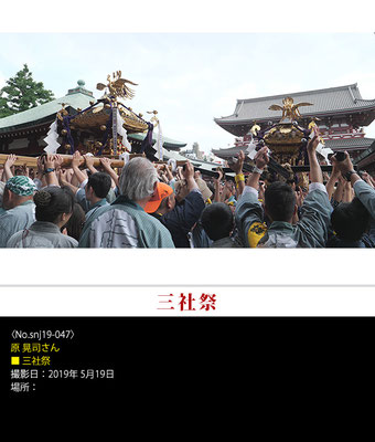 原 晃司さん：三社祭 ,2019年5月19日,