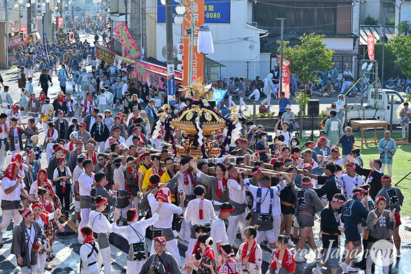 〈八重垣神社祇園祭〉十町神輿連合渡御：西本町区 2025.08.05