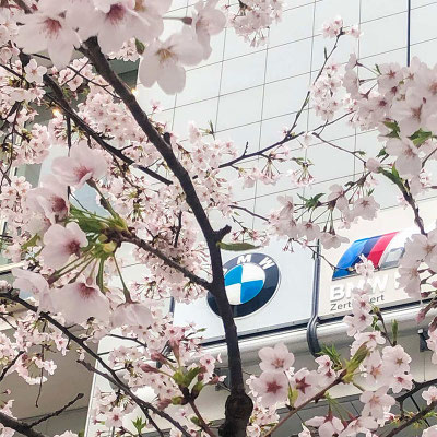 〈s20-053〉TeeeSさん：がんばろう!／3月30日(月)／東京都港区・外苑前