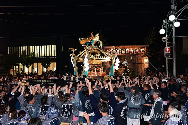 〈八重垣神社祇園祭〉女神輿連合渡御：上出羽区 2025.08.04
