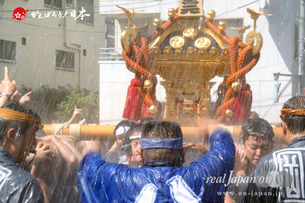 〈富岡八幡宮例大祭〉神輿連合渡御　三十四番: 宮元 ＠2012.08.12