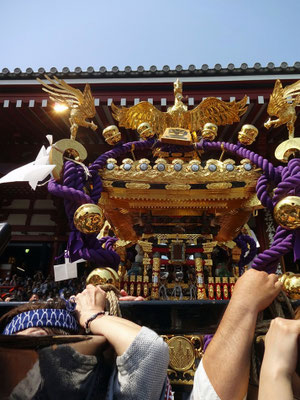 町内神輿連合渡御〈駒形〉@2017.05.20 (snj17-020)