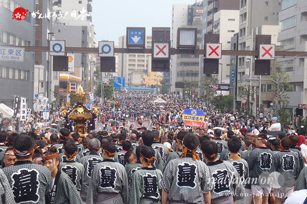 〈富岡八幡宮例大祭〉神輿連合渡御　三十六番: 白河一 ＠2014.08.17