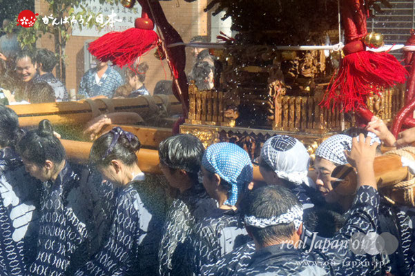 〈深川神明宮例大祭〉神輿連合渡御　十一番: 新大橋三丁目 ＠2012.08.19