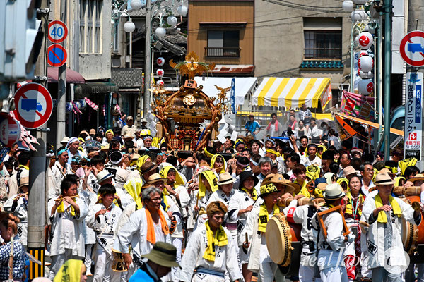〈八重垣神社祇園祭〉十町神輿連合渡御：田町区 @2024.08.05