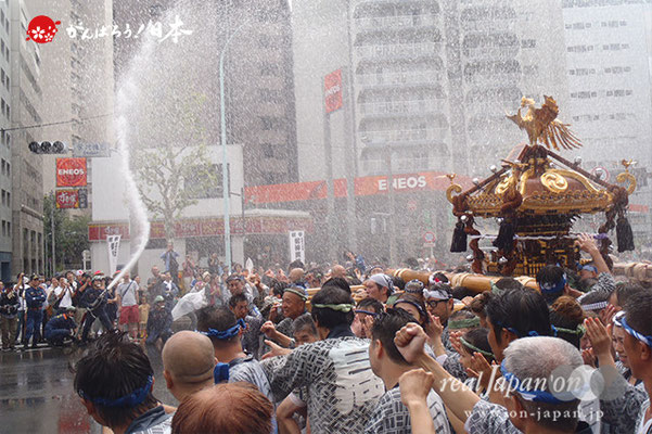 深川八幡祭写真集 昭和56年 下町タイムス社 水かけ祭り 富岡八幡宮