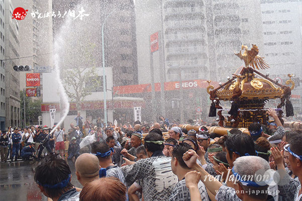 〈富岡八幡宮例大祭〉神輿連合渡御　三十七番: 白河二 ＠2014.08.17