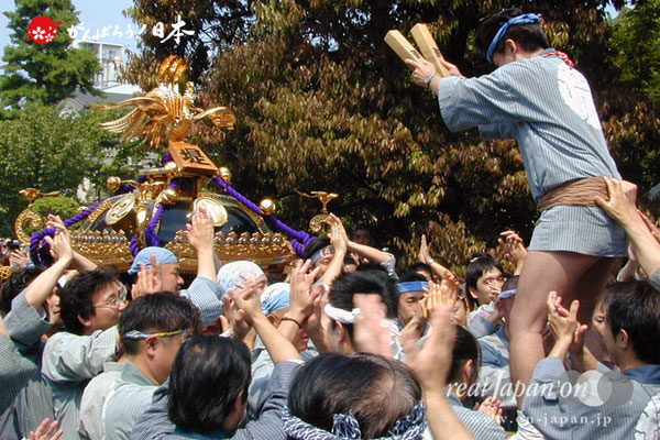 〈三社祭〉各町連合渡御 ＠2008.05.17