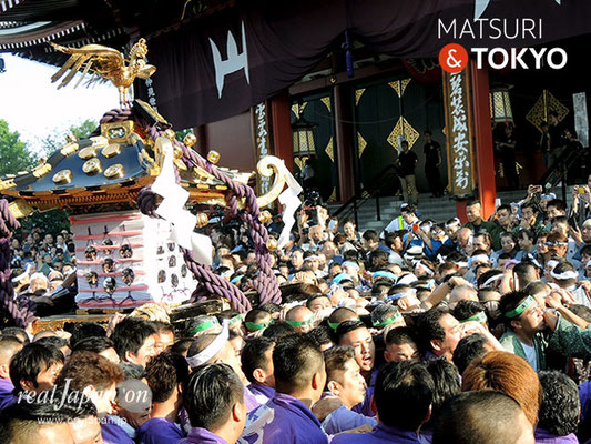 本社神輿一之宮･一般宮出し(西部) ＠2017.05.21 (snj17-066)