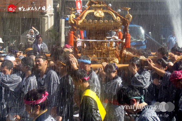 〈深川神明宮例大祭〉神輿連合渡御　十番: 新大橋一丁目 ＠2012.08.19
