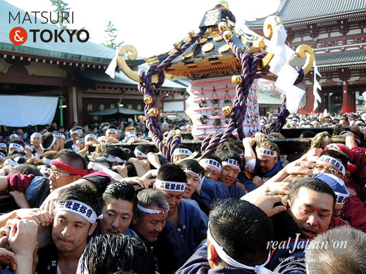 本社神輿二之宮･一般宮出し(南部) ＠2017.05.21 (snj17-080)