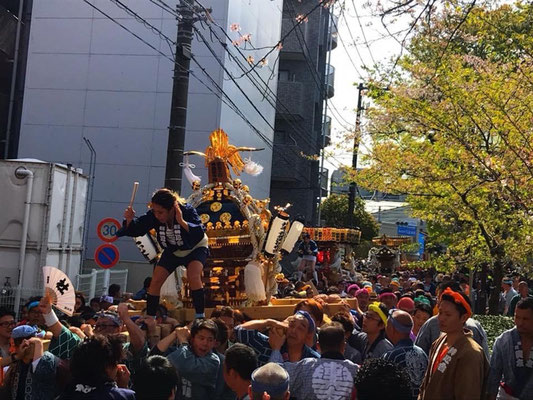 阿部裕太さん：南区桜まつり<br>撮影日：2018年4月2日<br>場所：大岡川沿い<br>御神輿が奇麗に並んで粋な一枚になりました。