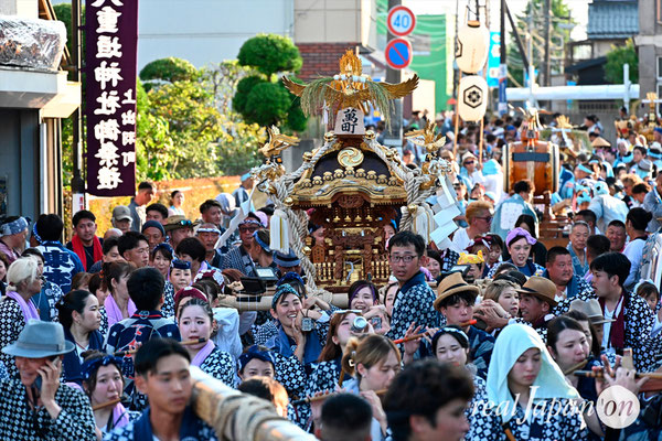 〈八重垣神社祇園祭〉女神輿連合渡御：萬町区 @2024.08.04