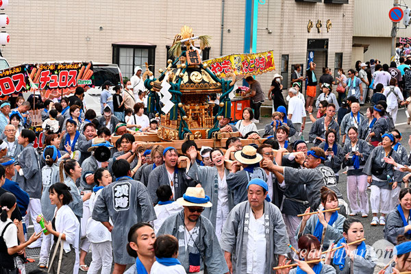 〈八重垣神社祇園祭〉十町神輿連合宮入渡御：横町区 @2024.08.05
