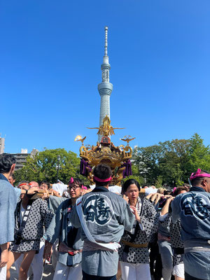 〈U23_014〉加藤雅彦さん：牛嶋神社大祭<br>撮影日：2023年9月17日<br>場所：隅田公園<br>世界最大の御神輿を担いでいるようです。