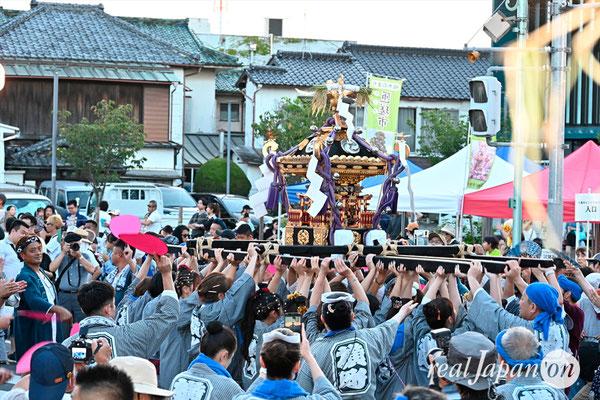 〈八重垣神社祇園祭〉女神輿連合渡御：横町区 @2024.08.04