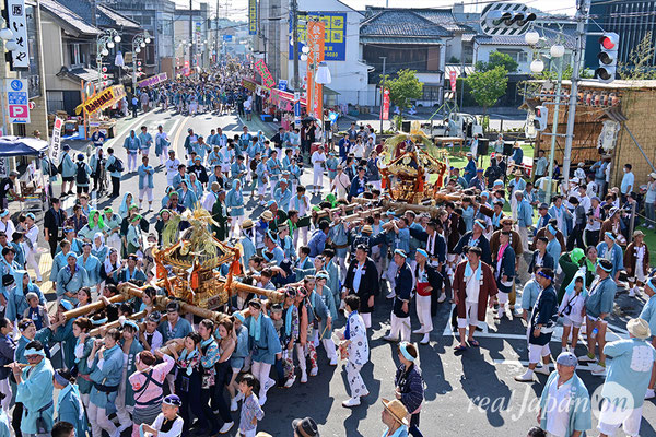 〈八重垣神社祇園祭〉十町神輿連合渡御：下出羽区 2025.08.05