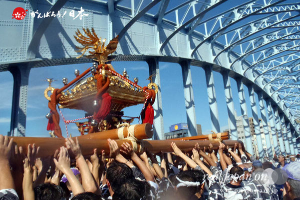 〈富岡八幡宮例大祭〉神輿連合渡御　五十三番: 中木場 ＠2012.08.12　　　写真ナンバー【thg-001】