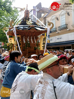 2018 第13回みこしコラボレーションinイセザキ「横須賀 虎神會」_YH18_009