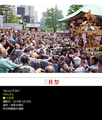 YASUさん：三社祭 ,2019年5月18日
