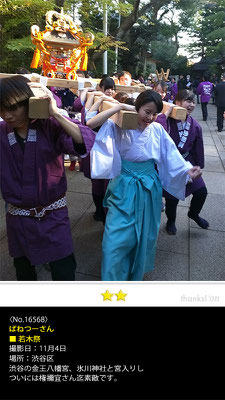 ばねつーさん：若木祭, 2016年11月4日, 渋谷区, 渋谷の金王八幡宮、氷川神社と宮入りし ついには権禰宜さん迄素敵です。