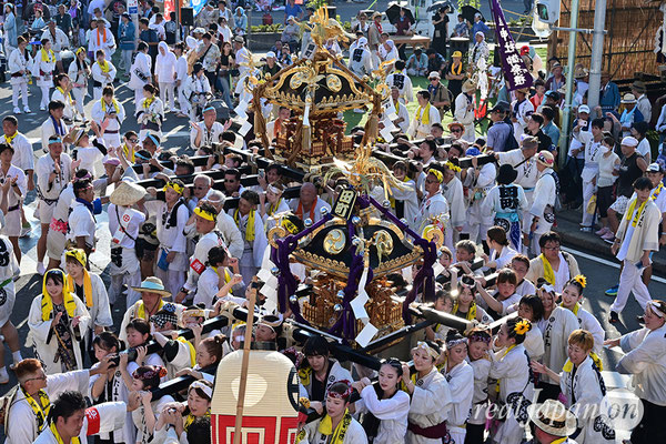 〈八重垣神社祇園祭〉十町神輿連合渡御：田町区 2025.08.05