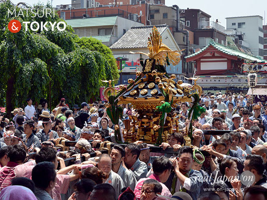 町内神輿連合渡御〈雷門田原〉@2017.05.20 (snj17-026)　ⓒm.kataoka