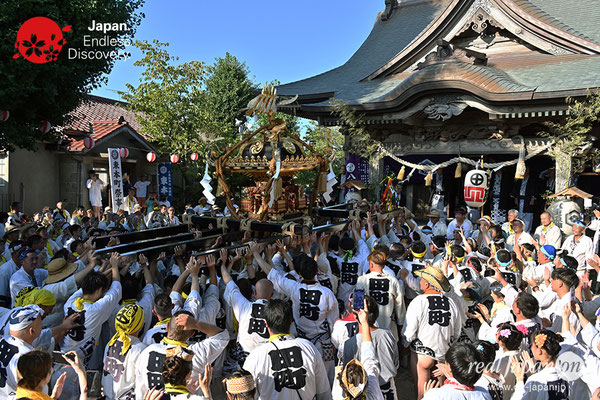 〈八重垣神社祇園祭〉神輿宮入渡御：田町区 @2023.08.05