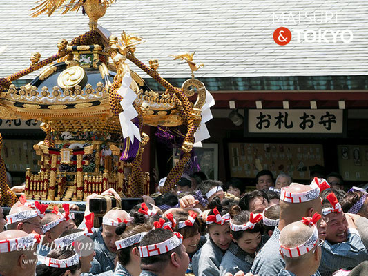 町内神輿連合渡御〈浅草西〉@2017.05.20 (snj17-041)　ⓒm.kataoka
