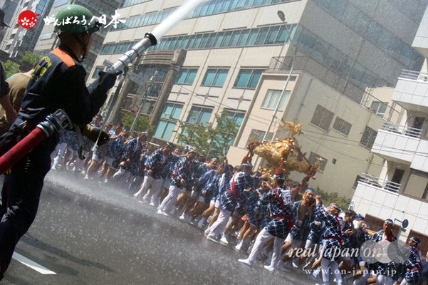 〈富岡八幡宮例大祭〉神輿連合渡御　三十九番: 三好 三・四 ＠2012.08.12
