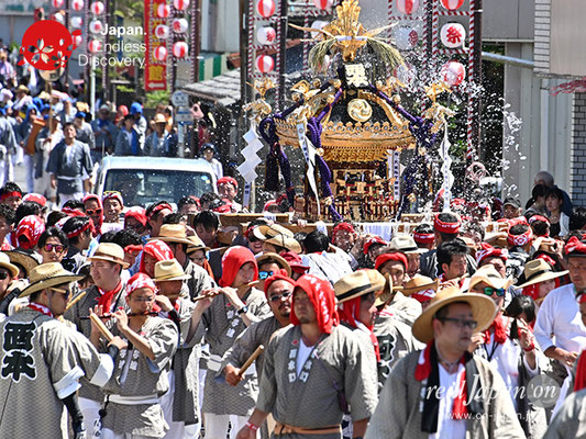 〈八重垣神社祇園祭〉神輿連合渡御：西本町区 @2019.08.05 YEGK19_044