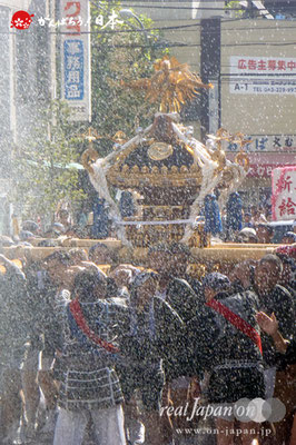 〈深川神明宮例大祭〉神輿連合渡御　十二番: 新大橋二丁目 ＠2012.08.19