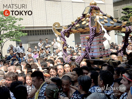 本社神輿二之宮･(南部) 町内渡御〈雷門中央〉＠2017.05.21 (snj17-082)