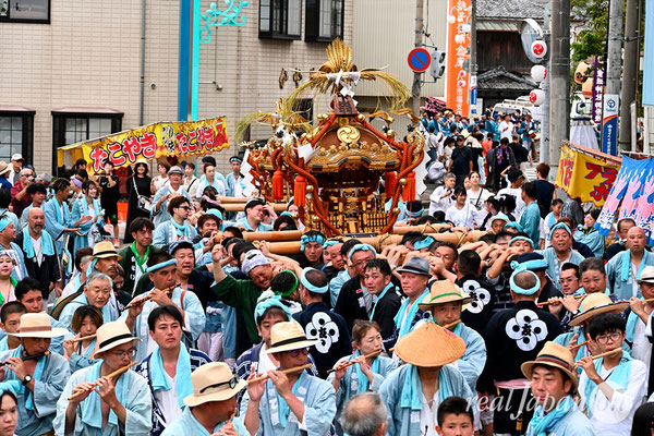〈八重垣神社祇園祭〉十町神輿連合宮入渡御：下出羽区 @2024.08.05