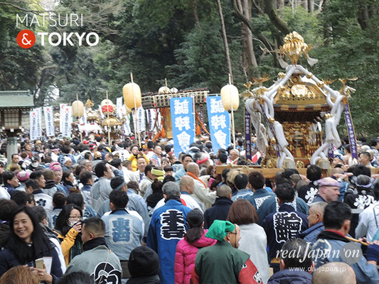 〈建国祭 2019.2.11〉明治神宮参道 ©real Japan'on : kks19-029