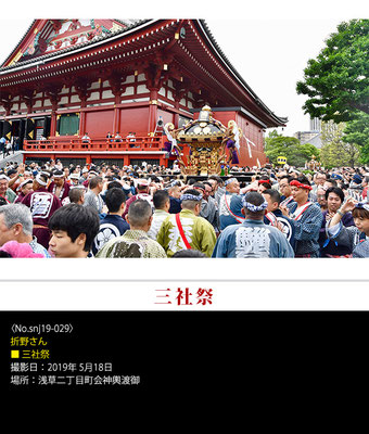 折野さん：三社祭 ,2019年5月18日,浅草二丁目