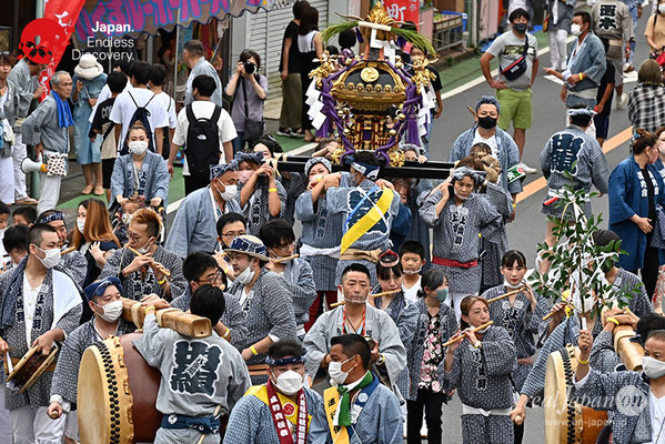 〈八重垣神社祇園祭〉女神連合輿渡御：上出羽区 @2022.08.04