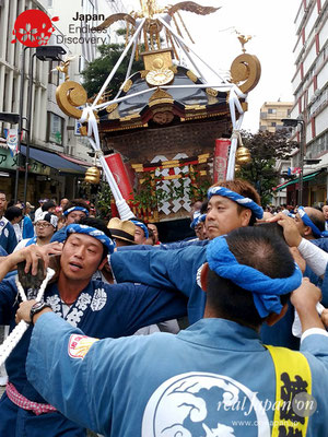 2017年 横浜開港祭 みこしコラボレーション「湘南連合神輿保存會」YH17_020