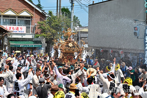 〈八重垣神社祇園祭〉十町神輿連合渡御：田町区 @2024.08.05