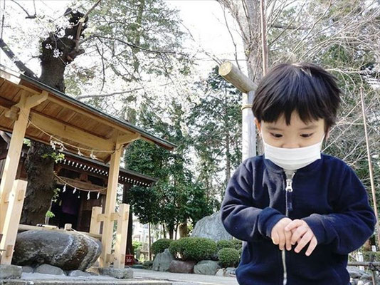 ＜s20-174＞green_peas_さん：ありがとうございました／4月8日（水）／神奈川県 深見神社