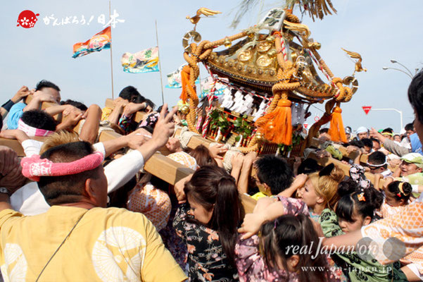 〈羽田まつり・各町神輿連合渡御〉旭町 町会