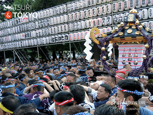 本社神輿二之宮･一般宮出し(南部) ＠2017.05.21 (snj17-067)