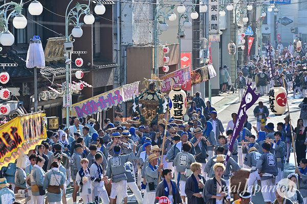 〈八重垣神社祇園祭〉十町神輿連合渡御：横町区 2025.08.05
