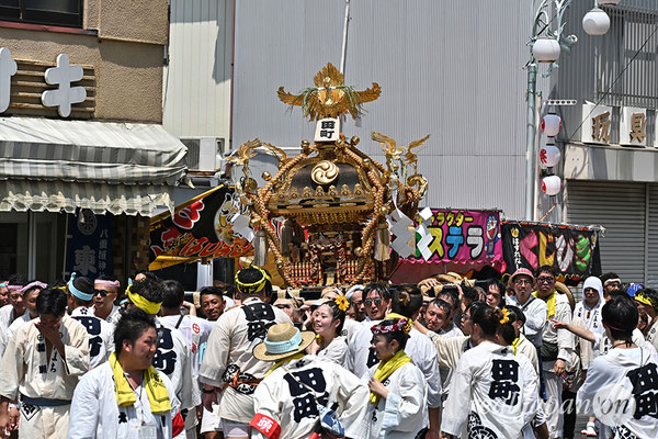 〈八重垣神社祇園祭〉十町神輿連合渡御：田町区 2025.08.05