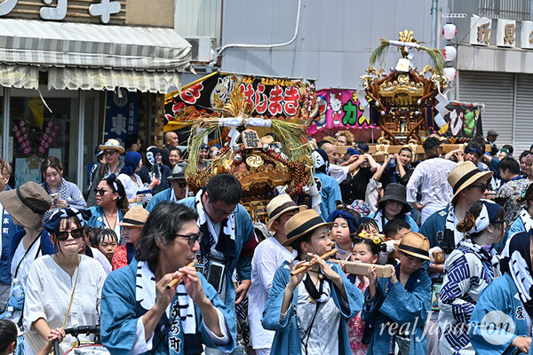 〈八重垣神社祇園祭〉十町神輿連合渡御：仲町区 2025.08.05