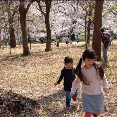 〈s20-123〉ryoo8189さん：家族でお花見行きたかったなー。