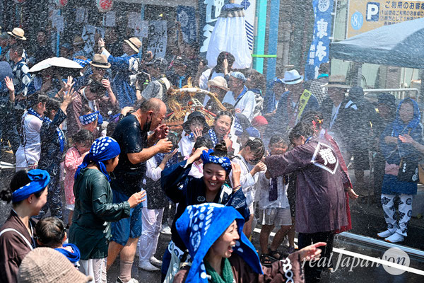 〈八重垣神社祇園祭〉十町神輿連合渡御：東本町区 @2024.08.05