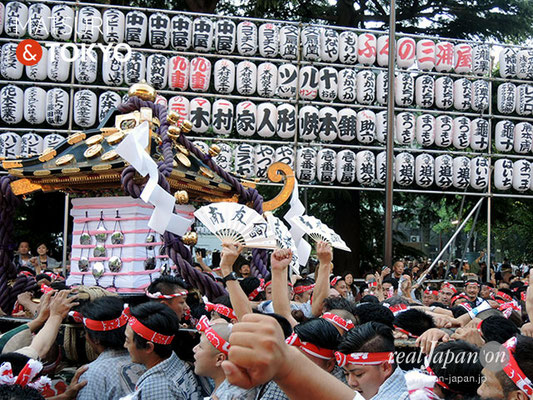 本社神輿三之宮･一般宮出し(東部) ＠2017.05.21 (snj17-072)