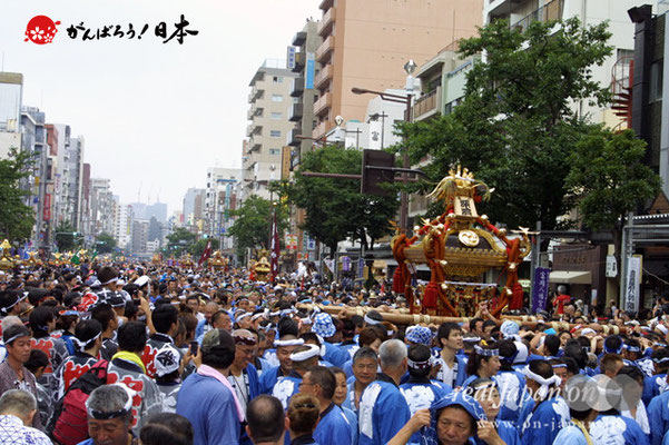 〈富岡八幡宮例大祭〉神輿連合渡御　一番: 深浜 ＠2012.08.12